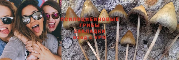 альфа пвп Богданович
