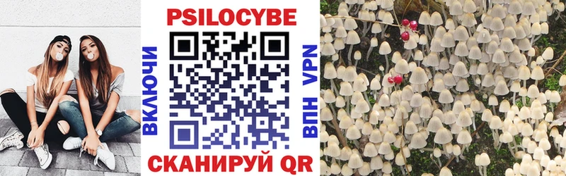 даркнет сайт  KRAKEN ONION  Галлюциногенные грибы Psilocybine cubensis  Михайлов 